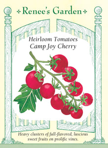 Visuel officiel de Renee's Garden pour les semences « Tomate cerise ‘Camp Joy’ », référence RN5302. Cette tomate porte de grosses grappes de fruits rouges de type cerise. Le semencier décrit une saveur de tomate bien développée, au-delà de la seule douceur. Les tiges sont vigoureuses et doivent être accompagnées pendant leur croissance. Les fruits se prêtent aux collations et aux salades fraîches.