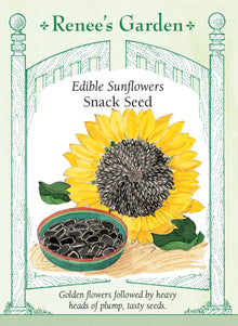 Visuel officiel de Renee's Garden associé aux semences de Tournesol ‘Snack Seed’, référence RN5305. Cette sélection est cultivée pour ses grosses graines comestibles. Les grandes fleurs présentent des pétales dorés autour d’un centre vert et sont portées par des tiges hautes. À maturité, les capitules deviennent lourds et peuvent être récoltés pour le séchage.