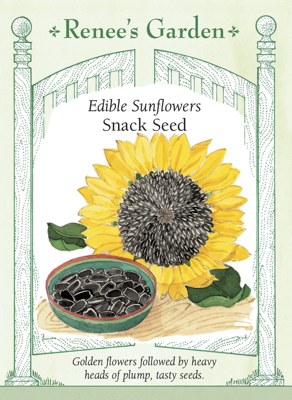 Visuel officiel de Renee's Garden associé aux semences de Tournesol ‘Snack Seed’, référence RN5305. Cette sélection est cultivée pour ses grosses graines comestibles. Les grandes fleurs présentent des pétales dorés autour d’un centre vert et sont portées par des tiges hautes. À maturité, les capitules deviennent lourds et peuvent être récoltés pour le séchage.