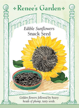 Visuel officiel de Renee's Garden associé aux semences de Tournesol ‘Snack Seed’, référence RN5305. Cette sélection est cultivée pour ses grosses graines comestibles. Les grandes fleurs présentent des pétales dorés autour d’un centre vert et sont portées par des tiges hautes. À maturité, les capitules deviennent lourds et peuvent être récoltés pour le séchage.