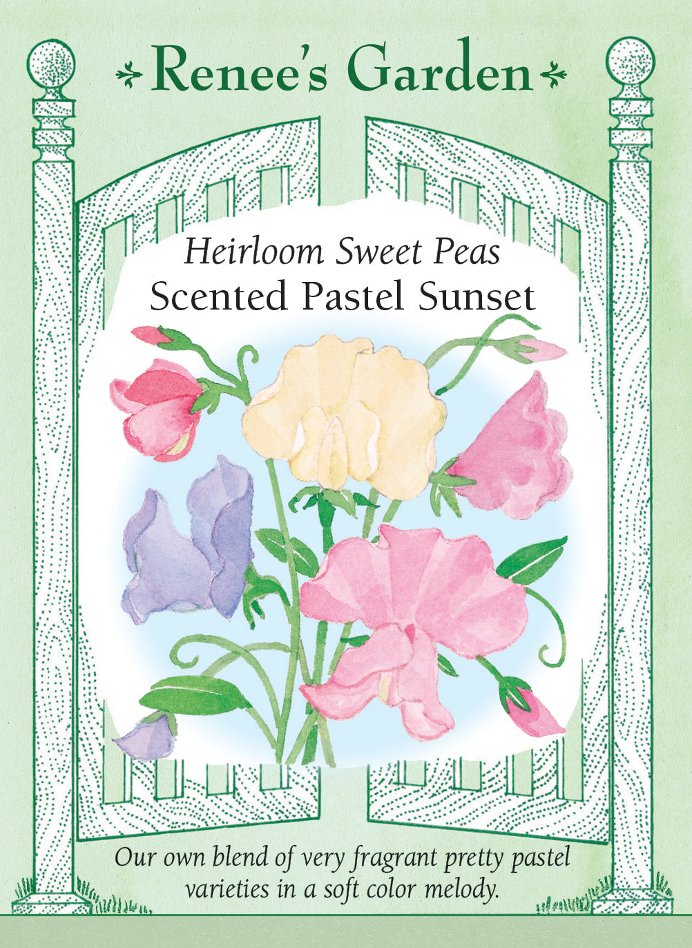 Visuel officiel de Renee's Garden associé aux semences de Pois de senteur en mélange Pastel Sunset, référence RN5310. Les fleurs parfumées de ce mélange présentent des tons roses, pêche, lavande et crème amande. Les couleurs douces ont été réunies pour fleurir ensemble. Les tiges grimpantes conviennent aux treillis et fournissent des fleurs pour les bouquets.
