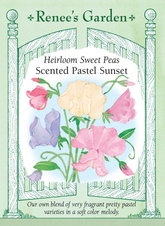 Visuel officiel de Renee's Garden associé aux semences de Pois de senteur en mélange Pastel Sunset, référence RN5310. Les fleurs parfumées de ce mélange présentent des tons roses, pêche, lavande et crème amande. Les couleurs douces ont été réunies pour fleurir ensemble. Les tiges grimpantes conviennent aux treillis et fournissent des fleurs pour les bouquets.