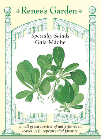 Visuel officiel de Renee's Garden pour les semences « Mâche ‘Gala’ », référence RN5315. ‘Gala’ produit de petites rosettes de feuilles vertes ovales, tendres et charnues. Leur saveur douce rappelle la noisette. Le semencier décrit une sélection vigoureuse adaptée à la saison fraîche. Les feuilles se prêtent aux salades délicatement assaisonnées. La mâche se distingue d’une laitue pommée par son petit développement en rosette.