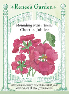 Visuel officiel de Renee's Garden associé aux semences de Capucine ‘Cherries Jubilee’, référence RN5319. Les fleurs passent du rose clair au rouge rosé, avec une coloration cerise caractéristique. Elles contrastent avec les feuilles arrondies bleu-vert. Le port en monticule convient aux bordures, aux pots et aux paniers suspendus, où les tiges peuvent retomber.