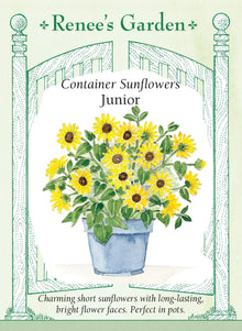 Visuel officiel de Renee's Garden associé aux semences de Tournesol nain ‘Junior’, référence RN5324. Les tiges ramifiées atteignent environ 60 cm (2 pi) et portent des fleurs jaune vif d’environ 10 à 13 cm (4 à 5 po). Le format compact convient aux grands pots, aux jardinières et aux bordures du potager.
