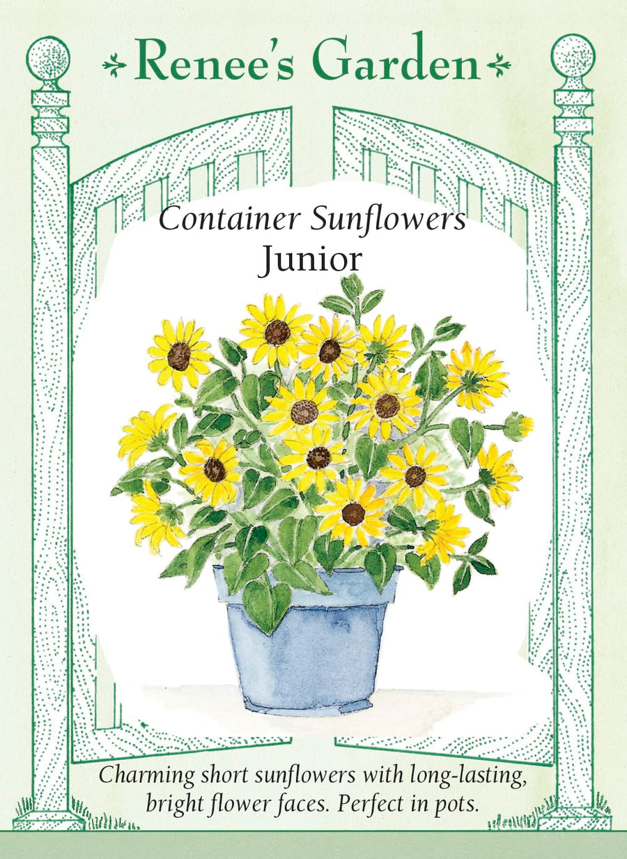 Visuel officiel de Renee's Garden associé aux semences de Tournesol nain ‘Junior’, référence RN5324. Les tiges ramifiées atteignent environ 60 cm (2 pi) et portent des fleurs jaune vif d’environ 10 à 13 cm (4 à 5 po). Le format compact convient aux grands pots, aux jardinières et aux bordures du potager.