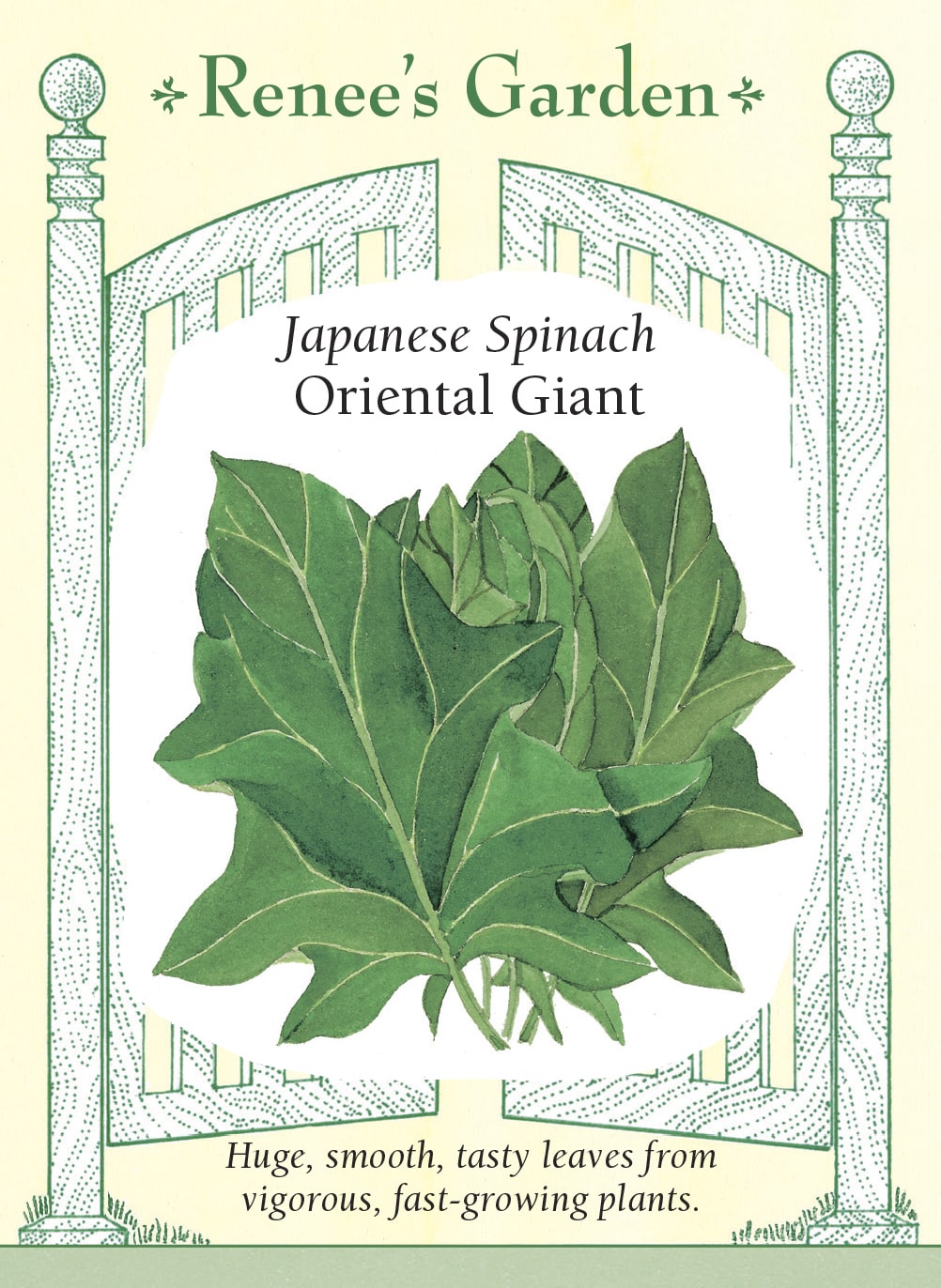 Visuel officiel de Renee's Garden pour les semences « Épinard ‘Oriental Giant’ », référence RN5327. Cet hybride japonais développe de très grandes feuilles vertes, lisses et légèrement en forme de pointe de flèche. Le semencier souligne sa vigueur et sa croissance rapide. Les feuilles sont décrites comme charnues, croquantes et douces. Leur grand format convient aux récoltes destinées à la cuisine, sans imposer d’attendre une feuille entièrement développée.
