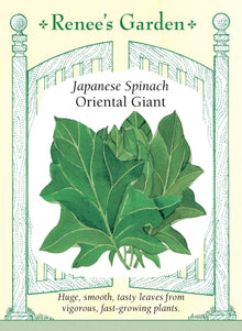 Visuel officiel de Renee's Garden pour les semences « Épinard ‘Oriental Giant’ », référence RN5327. Cet hybride japonais développe de très grandes feuilles vertes, lisses et légèrement en forme de pointe de flèche. Le semencier souligne sa vigueur et sa croissance rapide. Les feuilles sont décrites comme charnues, croquantes et douces. Leur grand format convient aux récoltes destinées à la cuisine, sans imposer d’attendre une feuille entièrement développée.