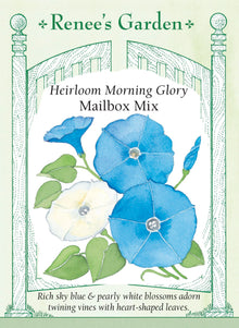 Visuel officiel de Renee's Garden associé aux semences d’ipomées en mélange Mailbox Mix, référence RN5328. Ce mélange associe des fleurs bleu soutenu et blanches sur des tiges grimpantes à feuilles cordiformes. Chaque fleur dure brièvement, mais de nouveaux boutons s’ouvrent au fil de la saison. Le semencier le propose pour couvrir une clôture ou un support. Les deux couleurs restent réparties entre les plants.