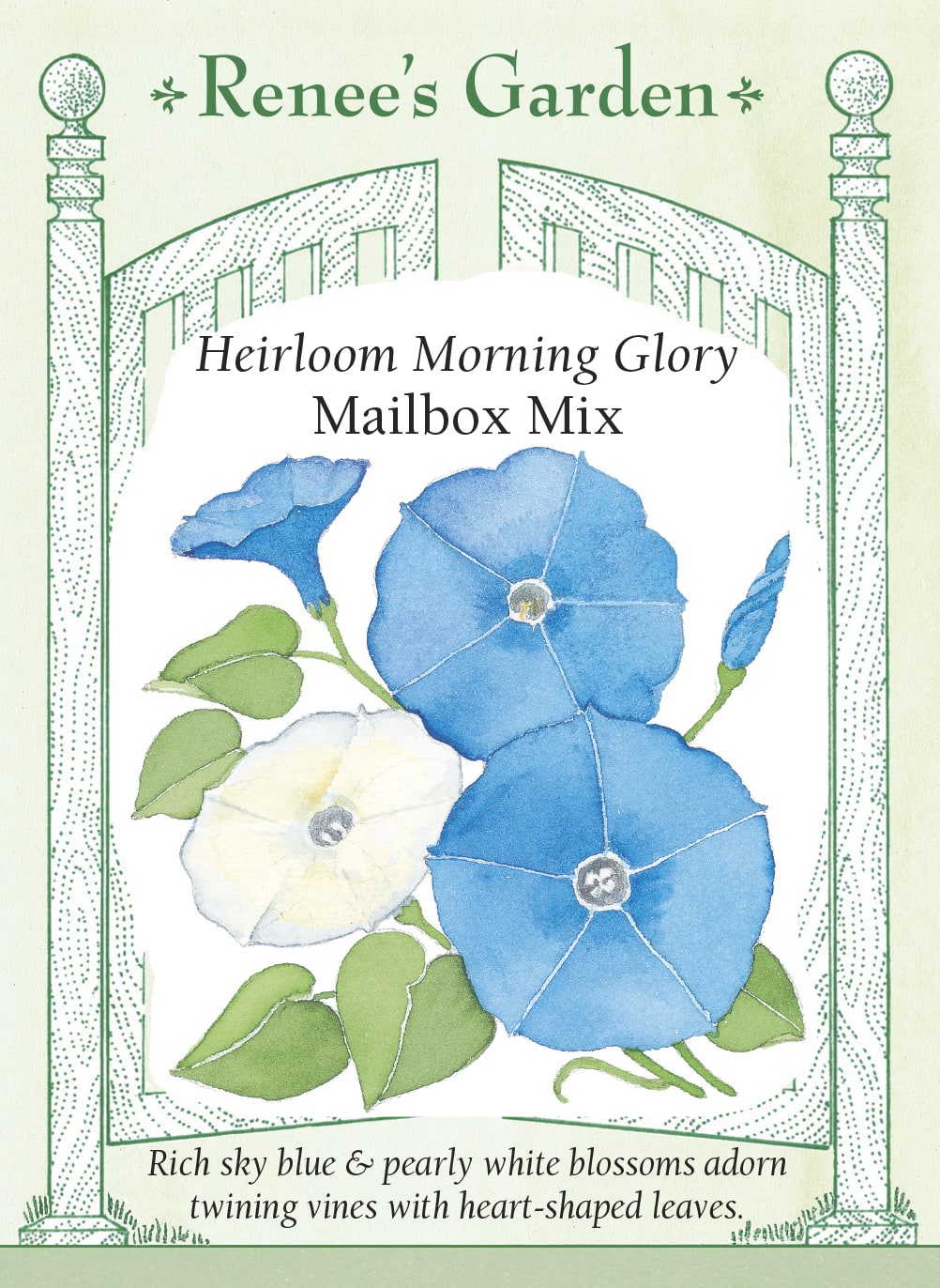 Visuel officiel de Renee's Garden associé aux semences d’ipomées en mélange Mailbox Mix, référence RN5328. Ce mélange associe des fleurs bleu soutenu et blanches sur des tiges grimpantes à feuilles cordiformes. Chaque fleur dure brièvement, mais de nouveaux boutons s’ouvrent au fil de la saison. Le semencier le propose pour couvrir une clôture ou un support. Les deux couleurs restent réparties entre les plants.