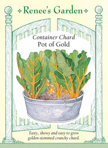 Visuel officiel de Renee's Garden pour les semences « Bette à carde ‘Pot of Gold’ », référence RN5345. Cette bette à carde développe des côtes dorées et des feuilles vert foncé gaufrées. Le semencier la recommande pour les contenants, les petits espaces et les bordures mixtes. Les feuilles et les côtes sont décrites comme douces et croquantes. Leur contraste permet de profiter d’une récolte de verdure tout en composant un aménagement de terrasse coloré.
