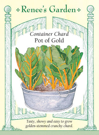 Visuel officiel de Renee's Garden pour les semences « Bette à carde ‘Pot of Gold’ », référence RN5345. Cette bette à carde développe des côtes dorées et des feuilles vert foncé gaufrées. Le semencier la recommande pour les contenants, les petits espaces et les bordures mixtes. Les feuilles et les côtes sont décrites comme douces et croquantes. Leur contraste permet de profiter d’une récolte de verdure tout en composant un aménagement de terrasse coloré.
