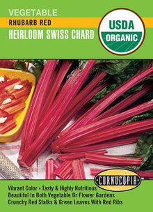 Visuel officiel de Cornucopia associé aux semences de Bette à carde ‘Rhubarb’, référence CS536. Cette référence propose la bette à carde Rhubarb. Elle se cultive pour ses feuilles et ses cardes comestibles, récoltées au fur et à mesure des besoins. Cette image accompagne la fiche de cette sélection et permet de repérer le produit correspondant dans le catalogue de semences.