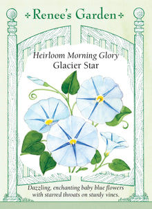 Visuel officiel de Renee's Garden associé aux semences d’ipomée ‘Glacier Star’, référence RN5360. ‘Glacier Star’ porte de grandes trompettes bleu pâle, marquées d’une étoile bleue plus foncée à la gorge. Les fleurs mesurent environ 10 cm (4 po). Le semencier décrit des tiges robustes à feuilles cordiformes. De nouvelles fleurs s’ouvrent le matin pendant la période de floraison.