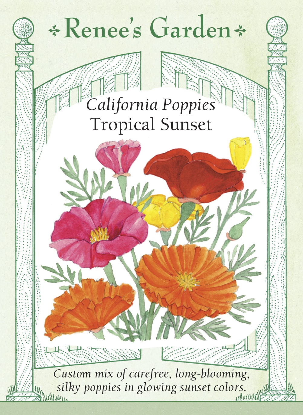 Visuel officiel de Renee's Garden associé aux semences de Pavots de Californie en mélange Tropical Sunset, référence RN5363. Le mélange réunit des fleurs simples et semi-doubles rouges, rose carmin, orange et bicolores, avec quelques fleurs crème. Plusieurs possèdent des pétales plissés. Leur aspect satiné contraste avec le feuillage gris-vert finement découpé et apporte de la couleur aux massifs.