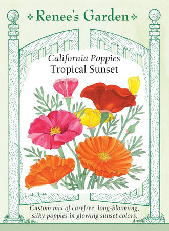 Visuel officiel de Renee's Garden associé aux semences de Pavots de Californie en mélange Tropical Sunset, référence RN5363. Le mélange réunit des fleurs simples et semi-doubles rouges, rose carmin, orange et bicolores, avec quelques fleurs crème. Plusieurs possèdent des pétales plissés. Leur aspect satiné contraste avec le feuillage gris-vert finement découpé et apporte de la couleur aux massifs.