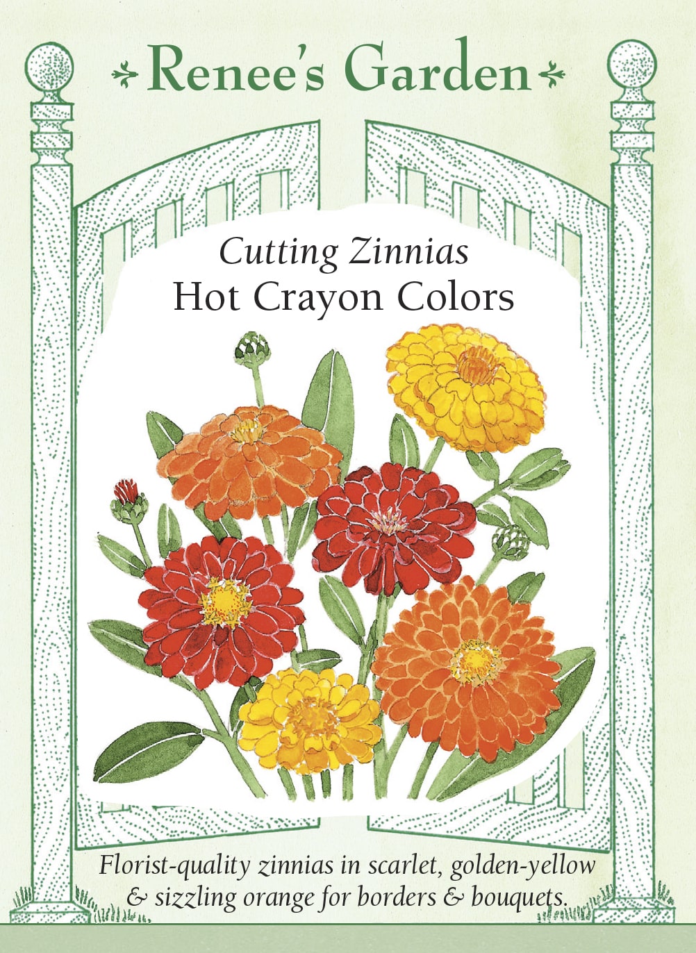 Visuel officiel de Renee's Garden associé aux semences de Zinnias en mélange Hot Crayon Colors, référence RN5367. Les fleurs doubles de ce mélange présentent des tons rouge écarlate, orange et jaune doré. Les plantes bien ramifiées atteignent environ 90 à 105 cm (3 à 3½ pi). Les longues tiges permettent de récolter des fleurs pour les bouquets.