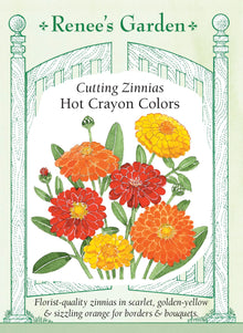 Visuel officiel de Renee's Garden associé aux semences de Zinnias en mélange Hot Crayon Colors, référence RN5367. Les fleurs doubles de ce mélange présentent des tons rouge écarlate, orange et jaune doré. Les plantes bien ramifiées atteignent environ 90 à 105 cm (3 à 3½ pi). Les longues tiges permettent de récolter des fleurs pour les bouquets.