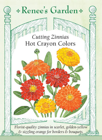 Visuel officiel de Renee's Garden associé aux semences de Zinnias en mélange Hot Crayon Colors, référence RN5367. Les fleurs doubles de ce mélange présentent des tons rouge écarlate, orange et jaune doré. Les plantes bien ramifiées atteignent environ 90 à 105 cm (3 à 3½ pi). Les longues tiges permettent de récolter des fleurs pour les bouquets.