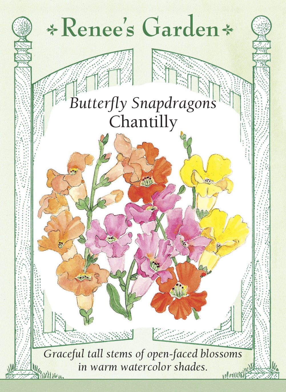 Visuel officiel de Renee's Garden associé aux semences de Mufliers en mélange Chantilly, référence RN5369. Les fleurs ouvertes en cloche sont disposées sur des épis ramifiés dès la base. Le mélange associe des tons jaune crème, saumon, abricot et rose tendre. Les plantes atteignent environ 75 à 90 cm (2½ à 3 pi) et conviennent aux fleurs coupées.