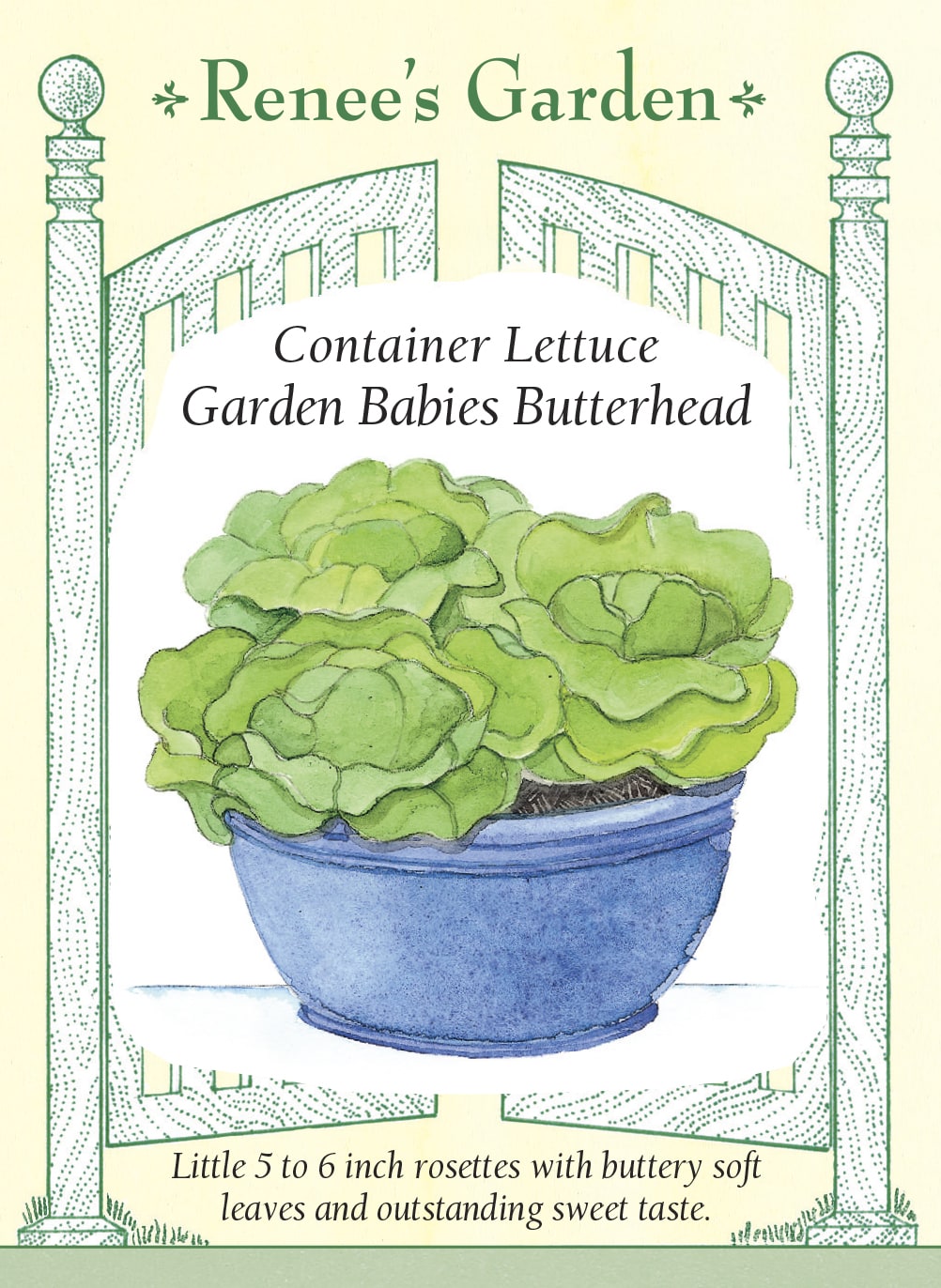Visuel officiel de Renee's Garden pour les semences « Laitue ‘Garden Babies’ », référence RN5372. Cette petite laitue pommée forme des rosettes compactes d’environ 13 à 15 cm (5 à 6 po). Les feuilles souplement repliées offrent une texture tendre et une saveur douce. Le semencier recommande la variété pour les contenants et souligne sa lenteur à monter en graines. Le petit calibre convient aux récoltes de pommes individuelles.