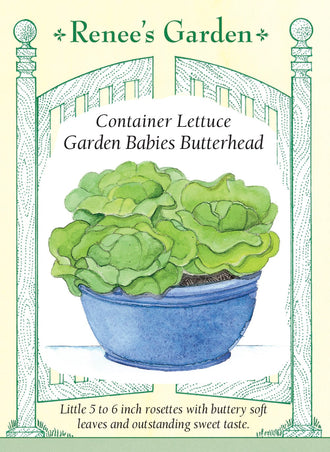Visuel officiel de Renee's Garden pour les semences « Laitue ‘Garden Babies’ », référence RN5372. Cette petite laitue pommée forme des rosettes compactes d’environ 13 à 15 cm (5 à 6 po). Les feuilles souplement repliées offrent une texture tendre et une saveur douce. Le semencier recommande la variété pour les contenants et souligne sa lenteur à monter en graines. Le petit calibre convient aux récoltes de pommes individuelles.