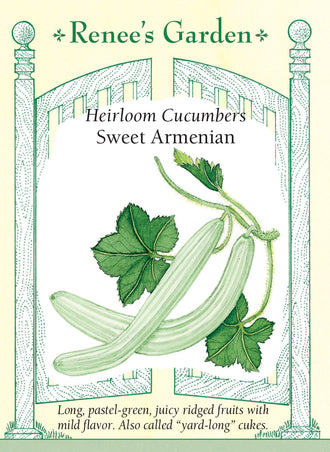 Visuel officiel de Renee's Garden pour les semences « Concombre arménien », référence RN5373. Cette sélection arménienne développe de longs fruits vert pâle, côtelés, à peau mince et à chair croquante. Le semencier souligne sa bonne production par temps chaud. Les côtes donnent des tranches aux contours festonnés. Malgré son nom courant de concombre arménien, ce type appartient aux melons; cette distinction botanique ne change pas son utilisation courante en crudités.