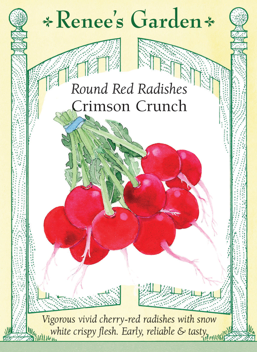 Visuel officiel de Renee's Garden pour les semences « Radis ‘Crimson Crunch’ », référence RN5376. Ce radis forme des racines rondes, lisses et rouge cerise, à chair blanche. Le semencier décrit une texture croquante et une saveur douce. Les racines se récoltent jeunes pour conserver leur qualité. Leur forme régulière se prête aux crudités, aux fines tranches et aux garnitures de salades.