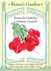 Visuel officiel de Renee's Garden pour les semences « Radis ‘Crimson Crunch’ », référence RN5376. Ce radis forme des racines rondes, lisses et rouge cerise, à chair blanche. Le semencier décrit une texture croquante et une saveur douce. Les racines se récoltent jeunes pour conserver leur qualité. Leur forme régulière se prête aux crudités, aux fines tranches et aux garnitures de salades.