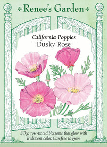 Visuel officiel de Renee's Garden associé aux semences de Pavot de Californie ‘Dusky Rose’, référence RN5379. Les fleurs aux pétales fins offrent une teinte rose soutenu. Elles sont portées par des tiges légères au-dessus d’un feuillage gris-vert découpé. Cette sélection tolère les sols pauvres et s’intègre aux bordures ainsi qu’aux plantations d’allure naturelle.