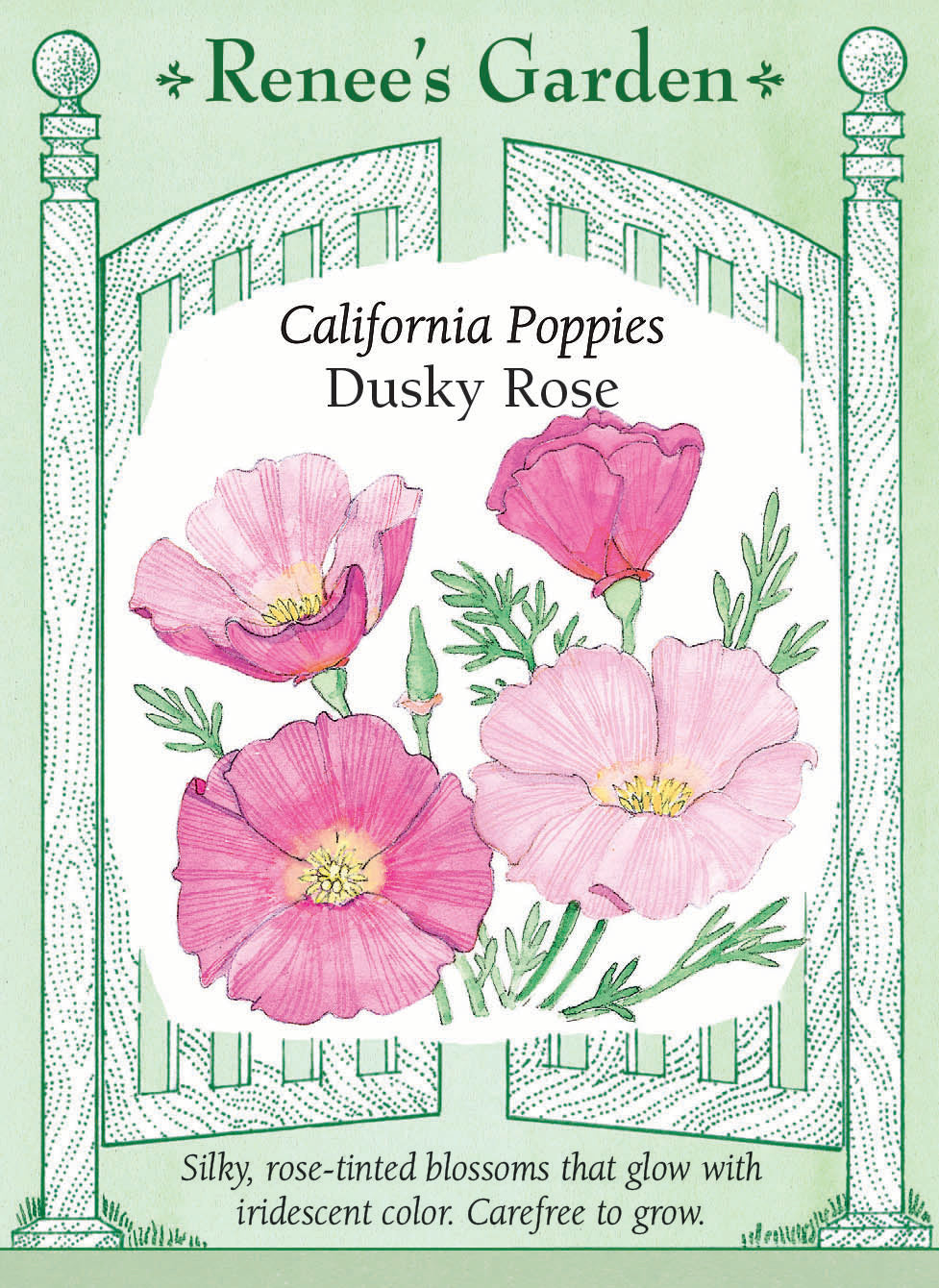 Visuel officiel de Renee's Garden associé aux semences de Pavot de Californie ‘Dusky Rose’, référence RN5379. Les fleurs aux pétales fins offrent une teinte rose soutenu. Elles sont portées par des tiges légères au-dessus d’un feuillage gris-vert découpé. Cette sélection tolère les sols pauvres et s’intègre aux bordures ainsi qu’aux plantations d’allure naturelle.