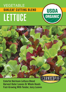 Visuel officiel de Cornucopia associé aux semences de Laitue Oakleaf Cutting Blend, référence CS540. Ce mélange de laitues à feuilles de chêne est destiné à la coupe. Il permet de récolter de jeunes feuilles et de varier les formes de verdure dans les salades. Cette image accompagne la fiche de cette sélection et permet de repérer le produit correspondant dans le catalogue de semences.