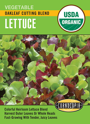 Visuel officiel de Cornucopia associé aux semences de Laitue Oakleaf Cutting Blend, référence CS540. Ce mélange de laitues à feuilles de chêne est destiné à la coupe. Il permet de récolter de jeunes feuilles et de varier les formes de verdure dans les salades. Cette image accompagne la fiche de cette sélection et permet de repérer le produit correspondant dans le catalogue de semences.