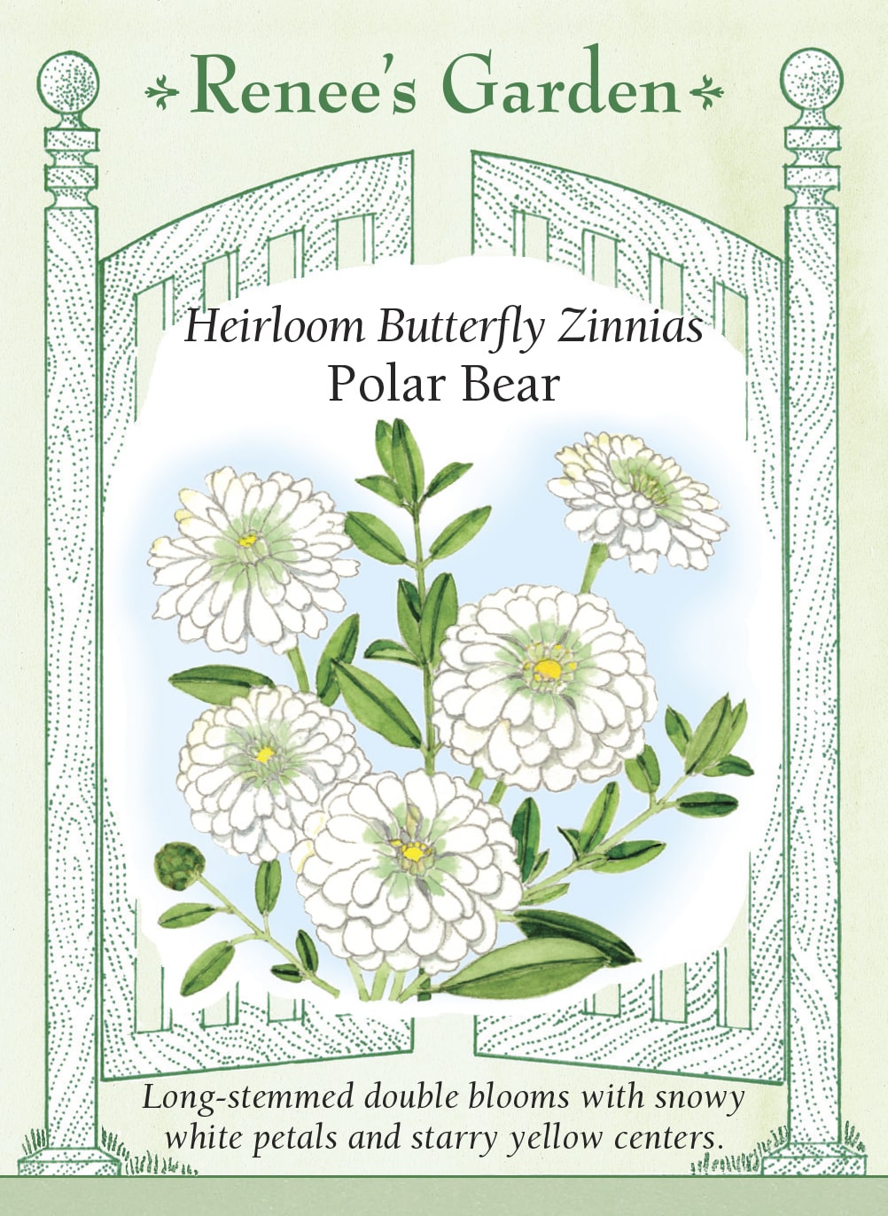 Visuel officiel de Renee's Garden associé aux semences de Zinnia ‘Polar Bear’, référence RN5413. Les fleurs doubles blanches mesurent environ 10 cm (4 po). Leur centre dévoile de petites fleurs jaunes en mûrissant. Les plantes ramifiées atteignent environ 1,1 à 1,2 m (3½ à 4 pi) et produisent de longues tiges à couper.