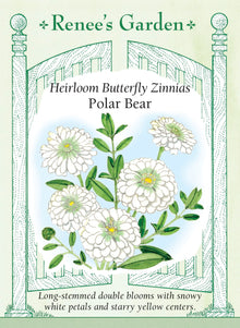 Visuel officiel de Renee's Garden associé aux semences de Zinnia ‘Polar Bear’, référence RN5413. Les fleurs doubles blanches mesurent environ 10 cm (4 po). Leur centre dévoile de petites fleurs jaunes en mûrissant. Les plantes ramifiées atteignent environ 1,1 à 1,2 m (3½ à 4 pi) et produisent de longues tiges à couper.