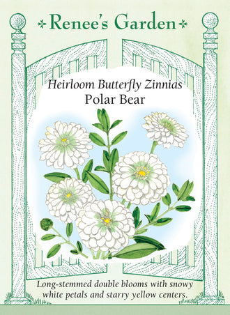 Visuel officiel de Renee's Garden associé aux semences de Zinnia ‘Polar Bear’, référence RN5413. Les fleurs doubles blanches mesurent environ 10 cm (4 po). Leur centre dévoile de petites fleurs jaunes en mûrissant. Les plantes ramifiées atteignent environ 1,1 à 1,2 m (3½ à 4 pi) et produisent de longues tiges à couper.