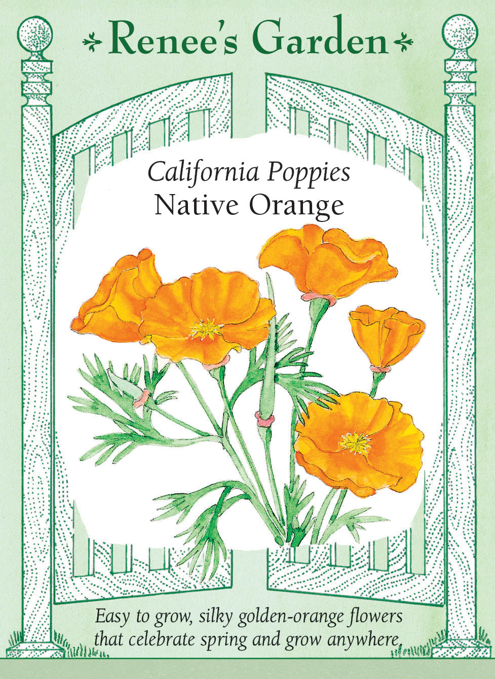 Visuel officiel de Renee's Garden associé aux semences de Pavot de Californie orange, référence RN5414. Les fleurs en coupe affichent une couleur orange doré et des pétales soyeux. Le feuillage gris-vert est finement découpé. Cette forme convient aux endroits chauds et secs; sa silhouette légère permet de créer des groupes colorés dans les espaces ouverts du jardin.
