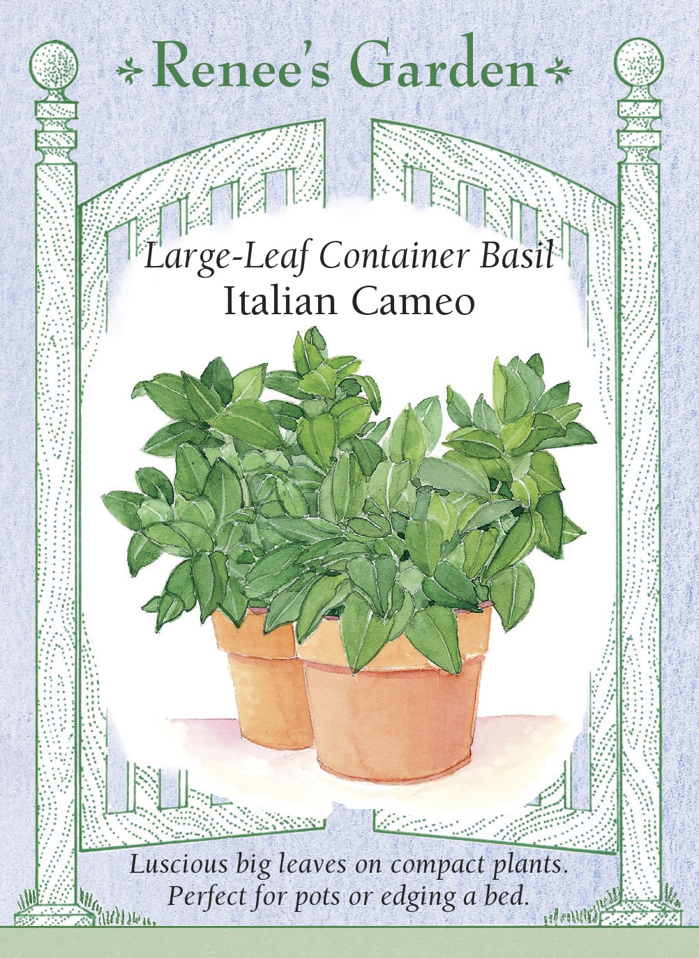 Visuel officiel de Renee's Garden pour les semences « Basilic ‘Cameo’ », référence RN5416. ‘Cameo’ associe de grandes feuilles serrées à un port compact. Le semencier le présente comme un croisement entre un basilic de type Genovese et un basilic nain. Les feuilles aromatiques conviennent à la cuisine quotidienne. Le port est proposé pour les pots, les jardinières et les bordures de fines herbes.