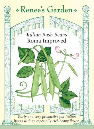 Visuel officiel de Renee's Garden pour les semences « Haricot nain ‘Roma Improved’ », référence RN5418. Cette sélection de type Roma porte des gousses vertes plates, larges et sans fil, longues d’environ 13 cm (5 po). Les plants vigoureux atteignent près de 60 cm (2 pi). La récolte est décrite comme précoce par le semencier. Les gousses charnues offrent une saveur prononcée de haricot et conviennent à la cuisson vapeur, aux soupes et aux préparations de légumes marinés destinées à une consommation rapide.
