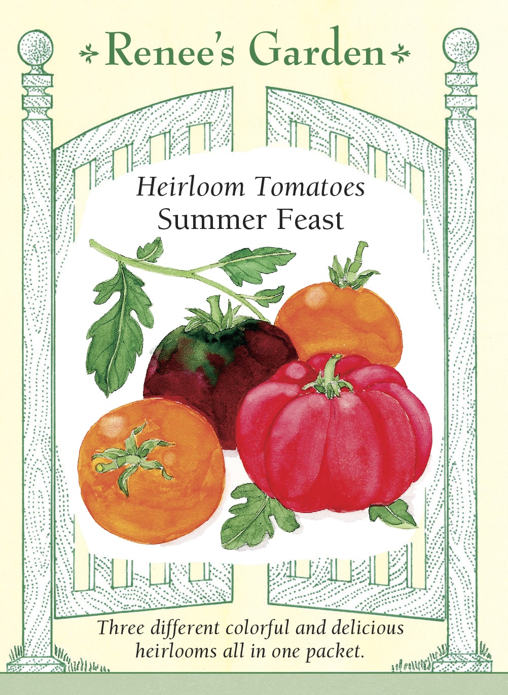 Visuel officiel de Renee's Garden pour les semences « Tomates en mélange Summer Feast », référence RN5421. Ce trio associe ‘Black Krim’, ‘Persimmon’ et ‘Costoluto’. Le semencier distingue les graines non colorées de ‘Black Krim’, vertes de ‘Persimmon’ et roses de ‘Costoluto’. Les fruits vont des teintes sombres à l’orange et au rouge côtelé. Les variétés doivent être récoltées selon leurs signes de maturité respectifs.