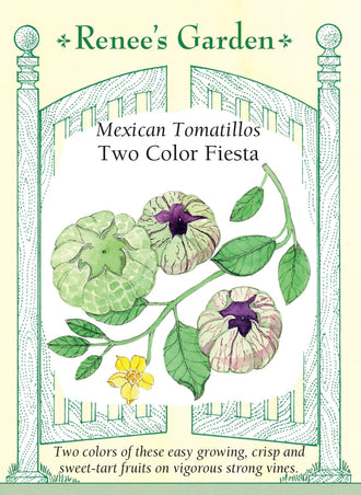 Visuel officiel de Renee's Garden pour les semences « Tomatillos en mélange Fiesta Duo », référence RN5422. Ce duo réunit ‘Toma Verde’ et une sélection pourpre. Les fruits se développent dans une enveloppe mince et papyracée, qui doit être retirée avant la préparation. Le semencier distingue les graines vertes de ‘Toma Verde’ des graines non colorées du type pourpre. Les fruits conviennent aux salsas et aux sauces.