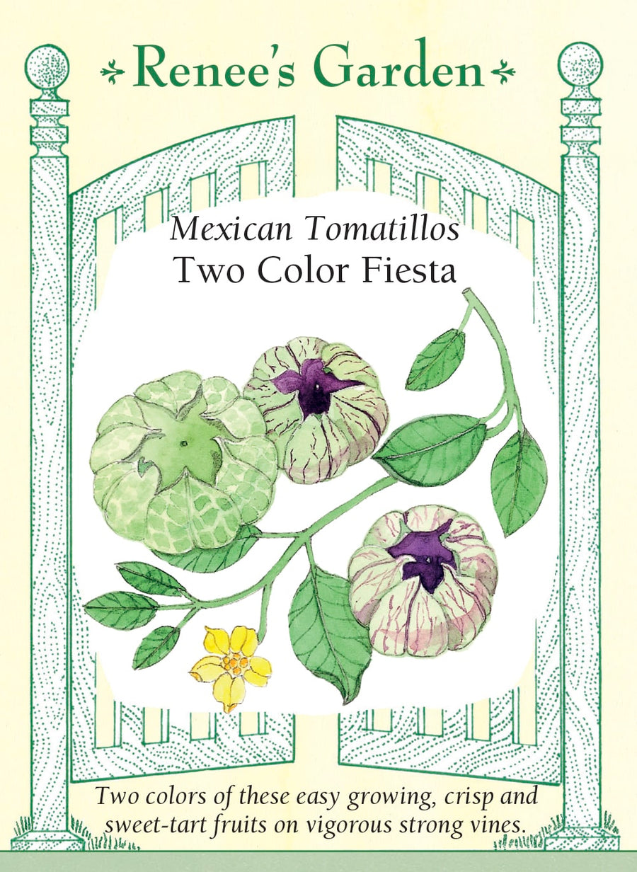 Visuel officiel de Renee's Garden pour les semences « Tomatillos en mélange Fiesta Duo », référence RN5422. Ce duo réunit ‘Toma Verde’ et une sélection pourpre. Les fruits se développent dans une enveloppe mince et papyracée, qui doit être retirée avant la préparation. Le semencier distingue les graines vertes de ‘Toma Verde’ des graines non colorées du type pourpre. Les fruits conviennent aux salsas et aux sauces.