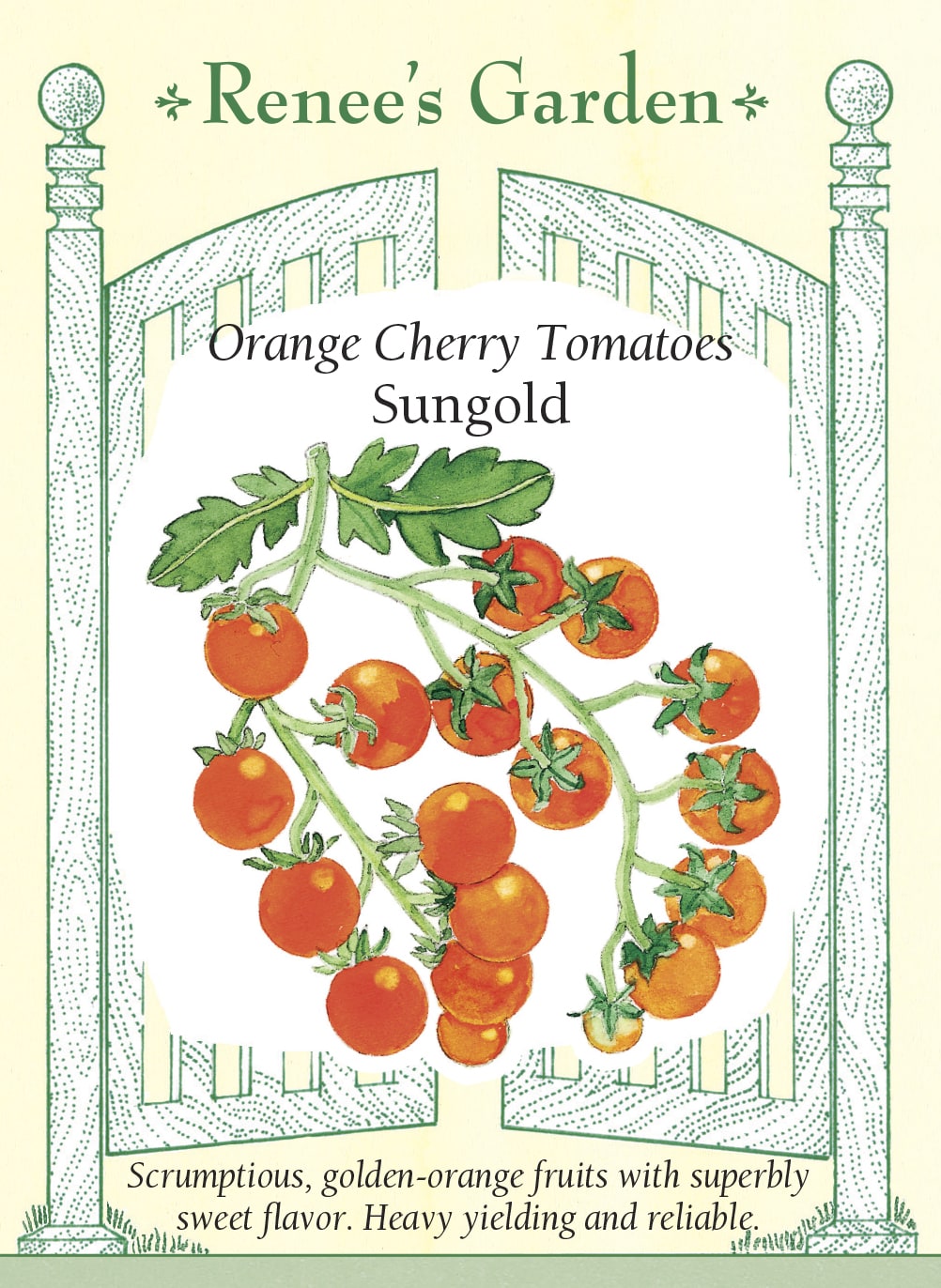 Visuel officiel de Renee's Garden pour les semences « Tomate cerise ‘Sungold’ », référence RN5423. ‘Sungold’ produit de petites tomates orange, juteuses et très douces, sur de longues grappes. Le semencier décrit des plants indéterminés vigoureux et précoces. La récolte peut se prolonger au fil de la croissance. Les fruits se consomment notamment frais, en surveillant leur maturité et leur état plutôt qu’en se fiant uniquement au calendrier.