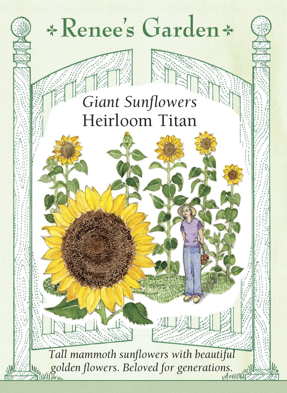 Visuel officiel de Renee's Garden associé aux semences de Tournesol géant ‘Titan’, référence RN5425. Les plantes atteignent environ 3,7 à 4,3 m (12 à 14 pi). Chaque tige porte une grande fleur dorée au centre foncé. Les graines comestibles peuvent être récoltées lorsque les capitules mûrissent ou laissées à la disposition des oiseaux.