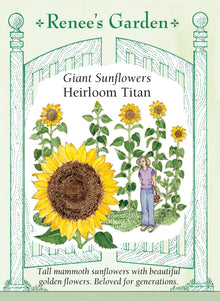 Visuel officiel de Renee's Garden associé aux semences de Tournesol géant ‘Titan’, référence RN5425. Les plantes atteignent environ 3,7 à 4,3 m (12 à 14 pi). Chaque tige porte une grande fleur dorée au centre foncé. Les graines comestibles peuvent être récoltées lorsque les capitules mûrissent ou laissées à la disposition des oiseaux.