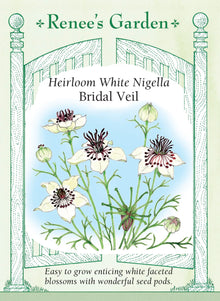 Visuel officiel de Renee's Garden associé aux semences de Nigelle ‘Bridal Veil’, référence RN5426. Les fleurs blanches d’environ 5 cm (2 po) présentent un centre noir contrastant et surmontent un feuillage finement découpé. Après la floraison, des capsules décoratives prolongent leur intérêt. Les fleurs conviennent aux bouquets et les capsules peuvent être séchées.
