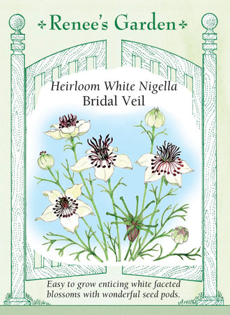 Visuel officiel de Renee's Garden associé aux semences de Nigelle ‘Bridal Veil’, référence RN5426. Les fleurs blanches d’environ 5 cm (2 po) présentent un centre noir contrastant et surmontent un feuillage finement découpé. Après la floraison, des capsules décoratives prolongent leur intérêt. Les fleurs conviennent aux bouquets et les capsules peuvent être séchées.