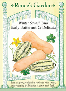 Visuel officiel de Renee's Garden pour les semences « Courges en mélange Butternut et Delicata », référence RN5434. Ce duo associe ‘Early Butternut’, à peau beige et chair orange, à une courge Delicata allongée et rayée. Le semencier distingue les graines vertes de Delicata des graines non colorées d’‘Early Butternut’. Les textures et les formes diffèrent entre les deux types. Les fruits se récoltent mûrs pour la cuisine et la conservation.