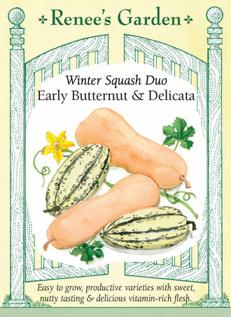 Visuel officiel de Renee's Garden pour les semences « Courges en mélange Butternut et Delicata », référence RN5434. Ce duo associe ‘Early Butternut’, à peau beige et chair orange, à une courge Delicata allongée et rayée. Le semencier distingue les graines vertes de Delicata des graines non colorées d’‘Early Butternut’. Les textures et les formes diffèrent entre les deux types. Les fruits se récoltent mûrs pour la cuisine et la conservation.