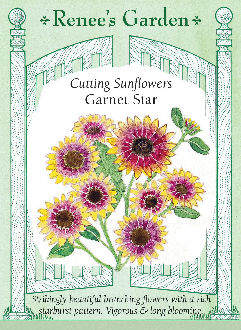 Visuel officiel de Renee's Garden associé aux semences de Tournesol ‘Garnet Star’, référence RN5439. Les fleurs bicolores présentent une étoile rouge grenat et des pointes jaunes. Elles mesurent environ 10 à 15 cm (4 à 6 po). Les plantes ramifiées atteignent environ 1,5 à 1,8 m (5 à 6 pi) et fournissent des tiges pour la coupe.